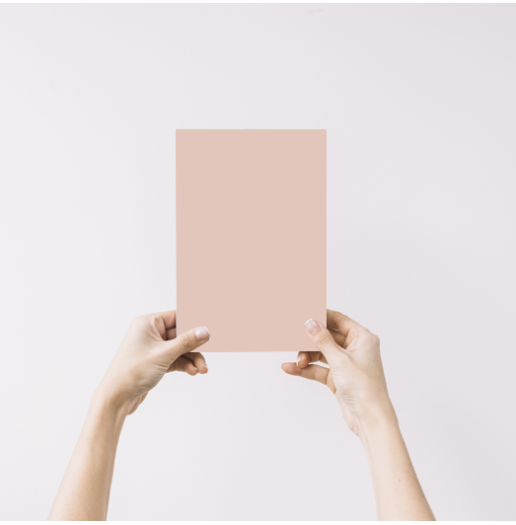 Bouton de rose Echantillon Peinture Intérieure