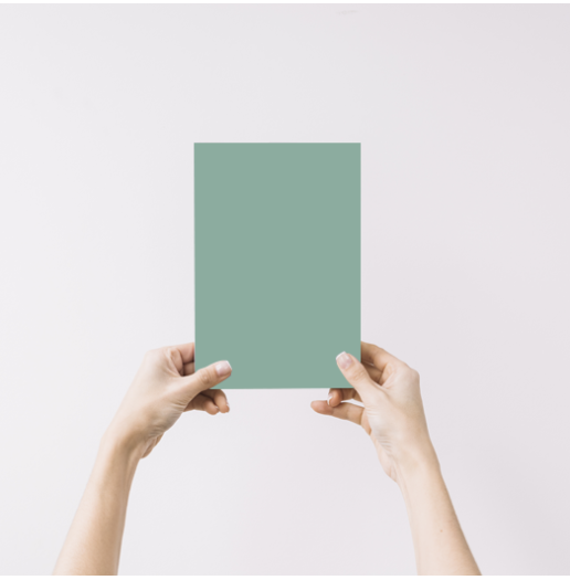 Cactus Echantillon Peinture Intérieure