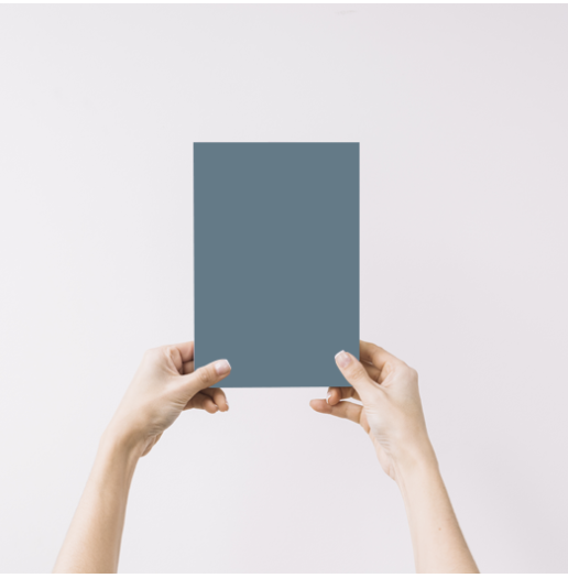 Chartreux Echantillon Peinture Intérieure