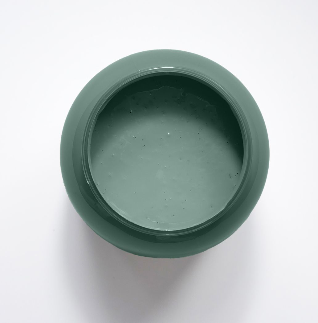 Agave Peinture Intérieure