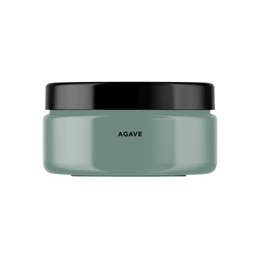 Agave Peinture Intérieure