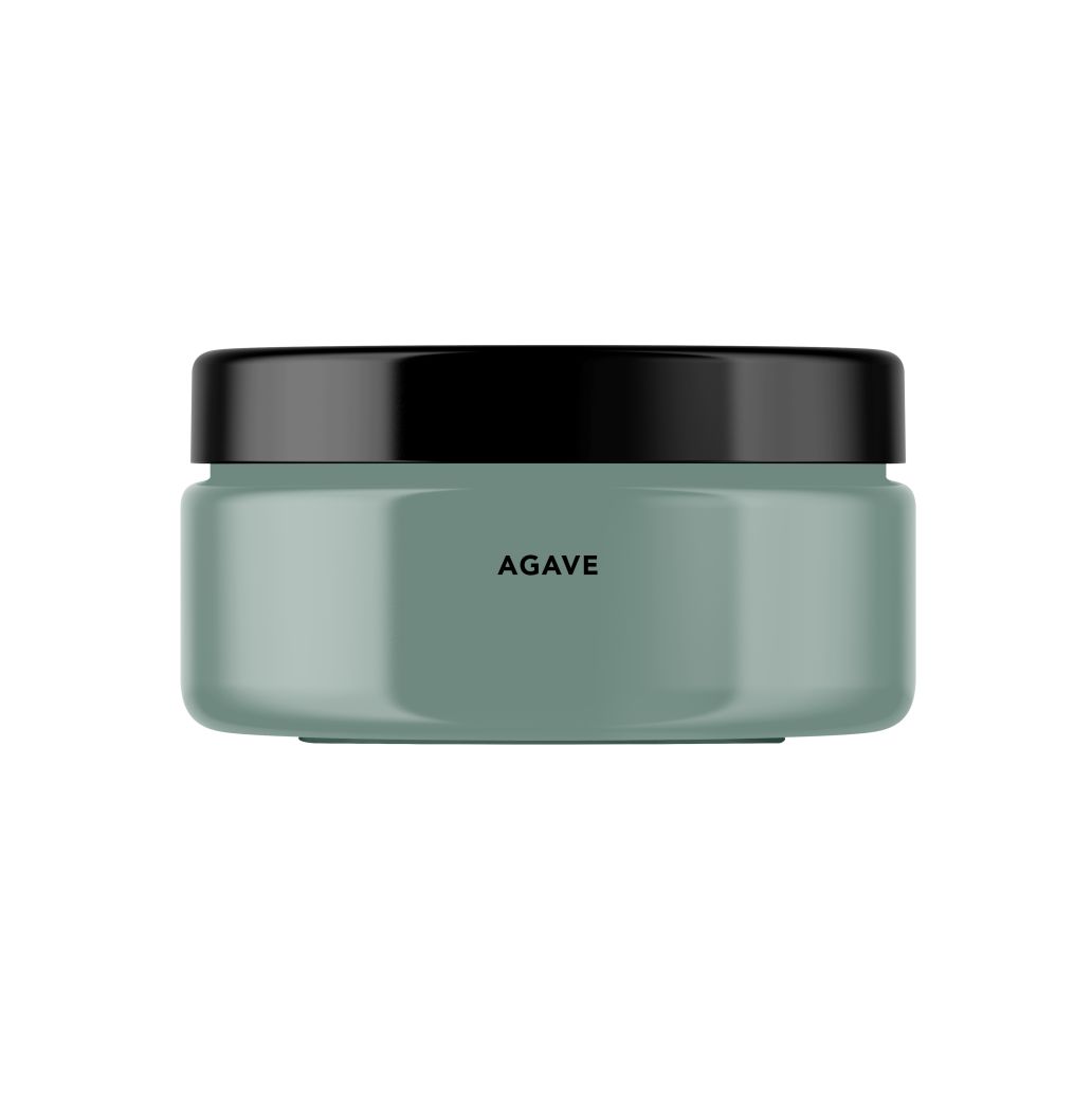 Agave Peinture Intérieure