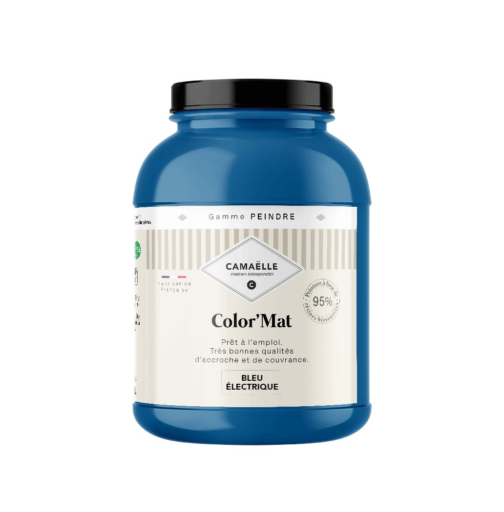 Bleu Electrique Peinture Intérieure Bleu Electrique Peinture Intérieure