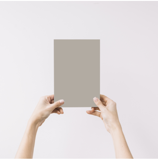 Ecorce Echantillon Peinture Intérieure