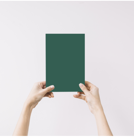 Epicéa Echantillon Peinture Intérieure