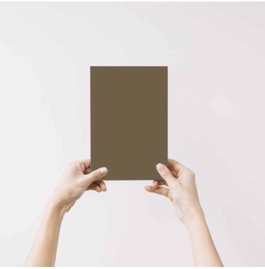 Faune Echantillon Peinture Intérieure