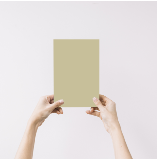 Gueule de loup Echantillon Peinture Intérieure