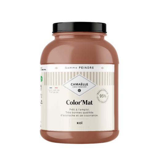 Koï Peinture Intérieure