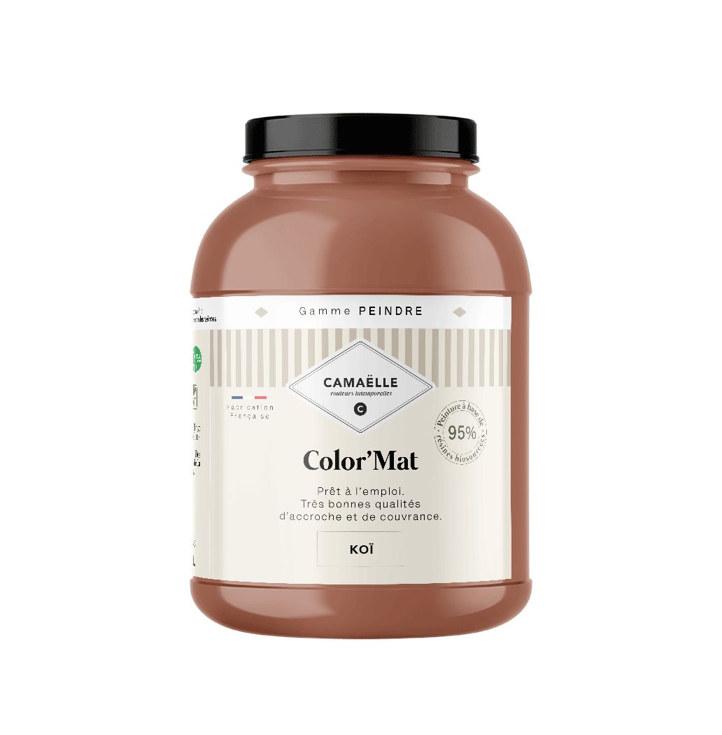 Koï Peinture Intérieure