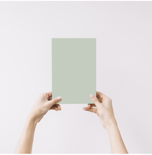 Aloe aplat Peinture Camaelle