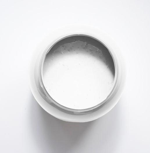 Saule blanc Peinture Intérieure