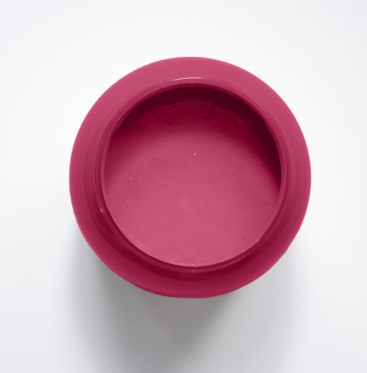 Pivoine Peinture Intérieure