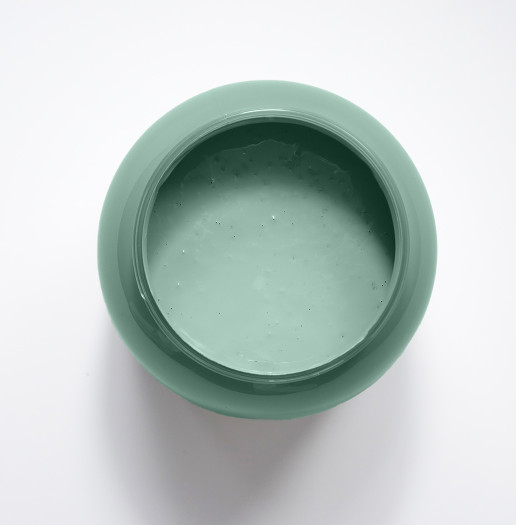 Cactus Peinture Color'Plein Air