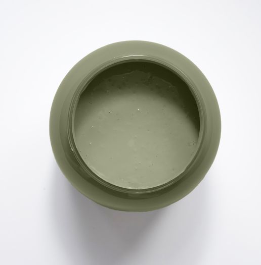 Ancolie Peinture Color'Plein Air