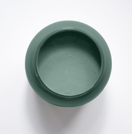 Agave Peinture Color'Plein Air