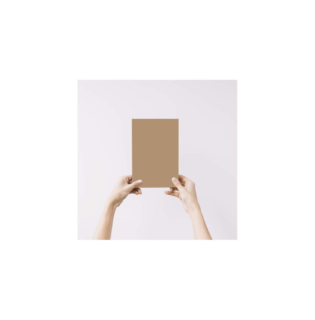 Noisette Echantillon Peinture Intérieure