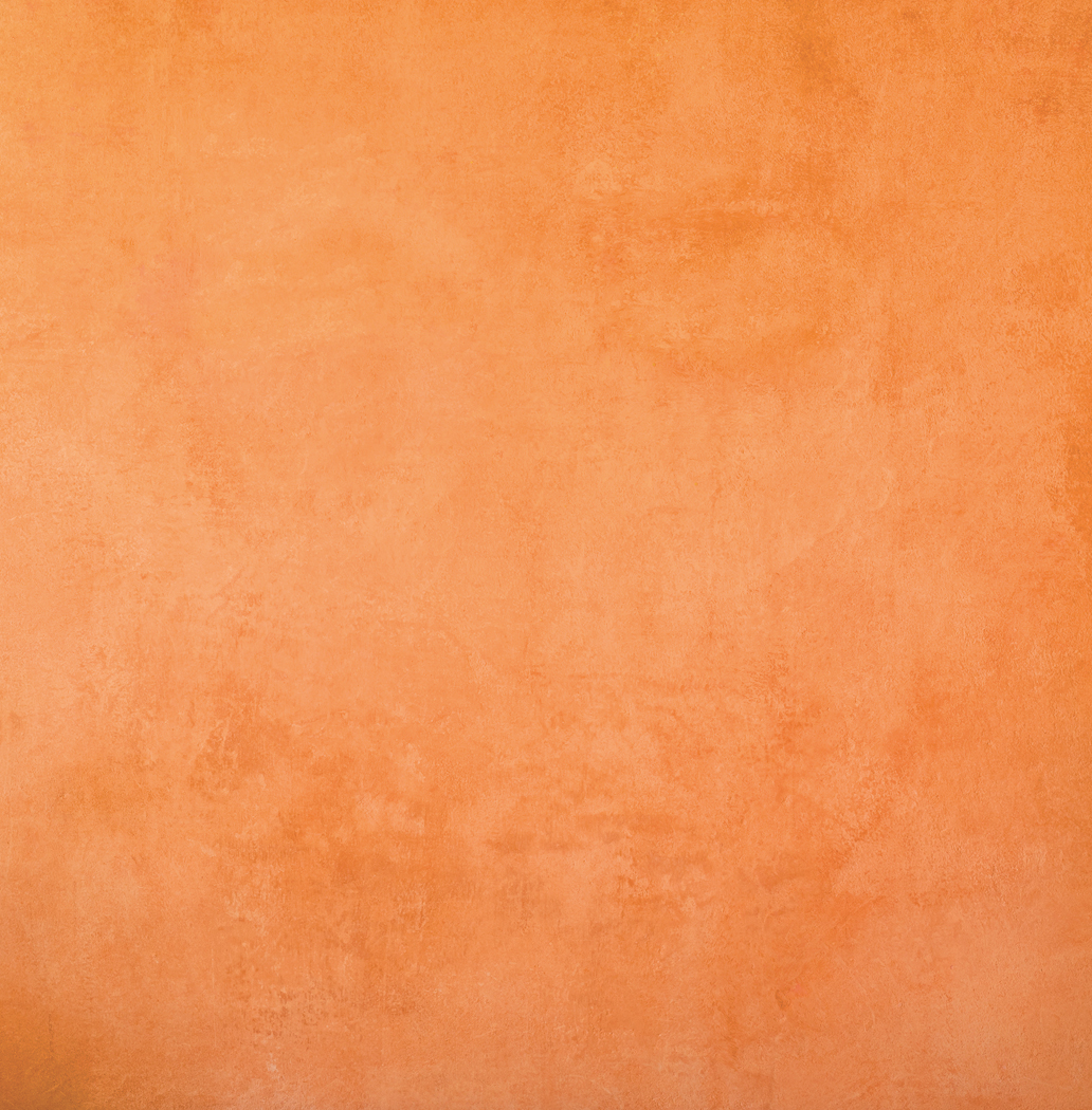 Fleur de Chaux Terracotta