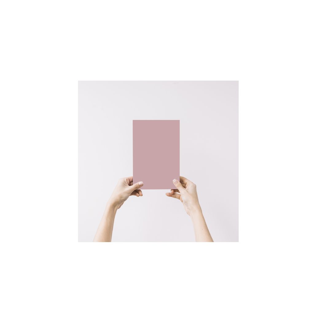 Ronsard Echantillon Peinture Intérieure