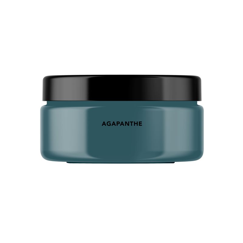 Agapanthe Peinture Color'Instant