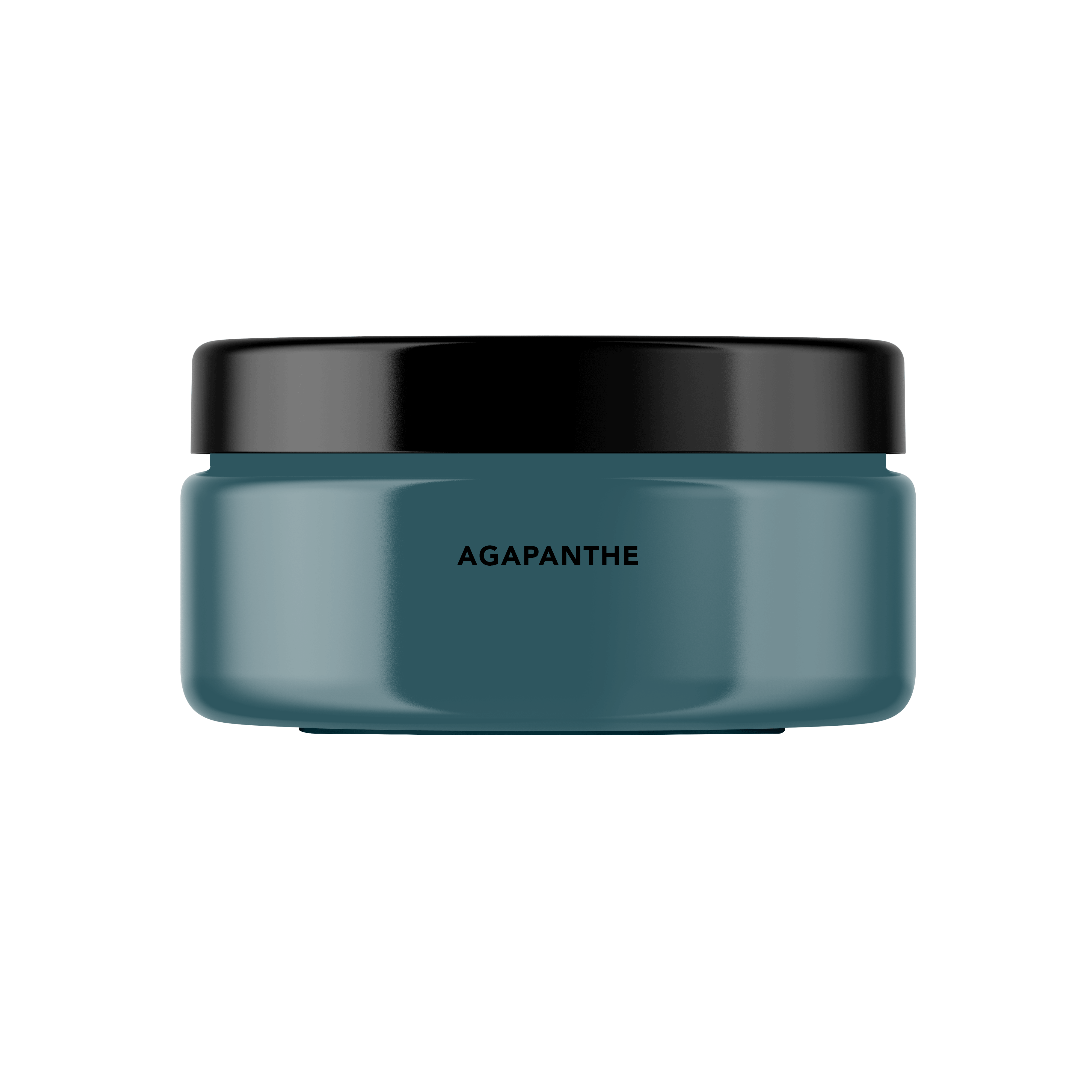 Agapanthe Peinture Color'Instant