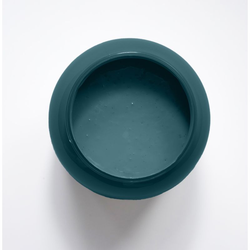 Agapanthe Peinture Color'Instant