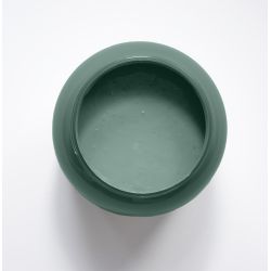 Agave Peinture Color'Instant