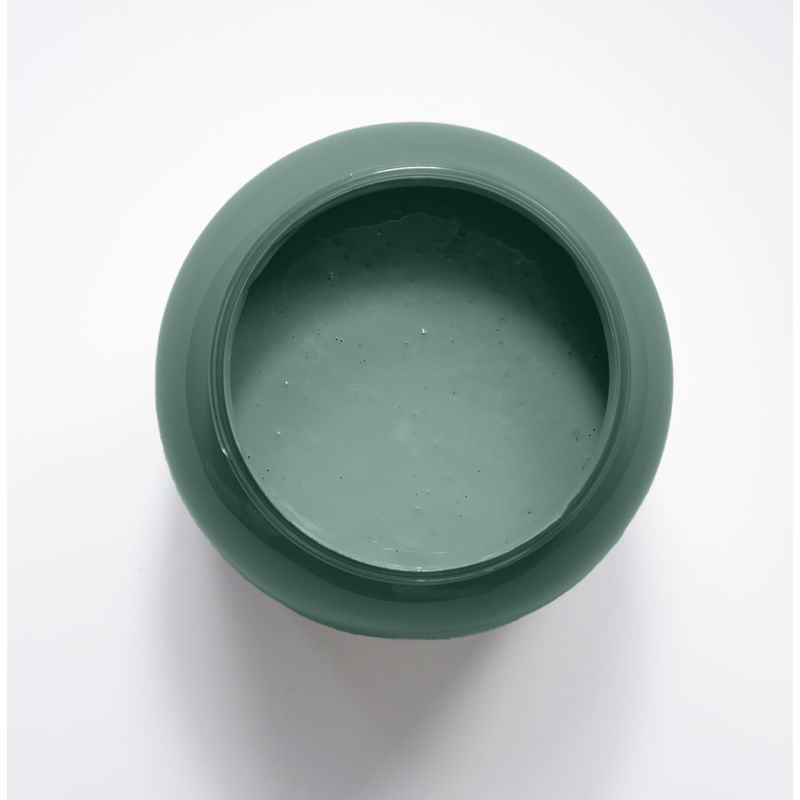 Agave Peinture Color'Instant