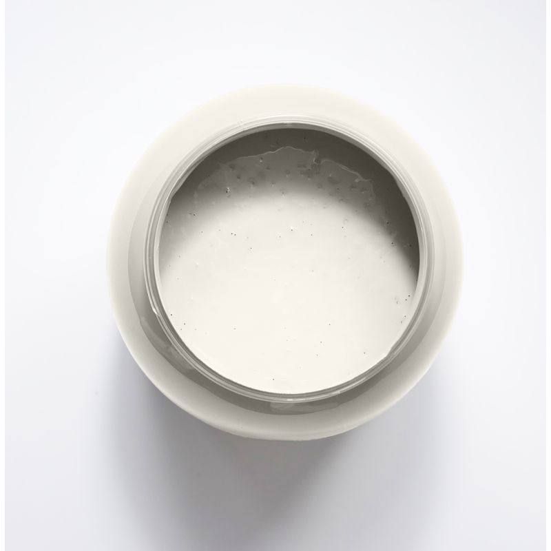 Albatre Peinture Color'Instant