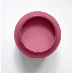 Althea Peinture Color'Instant