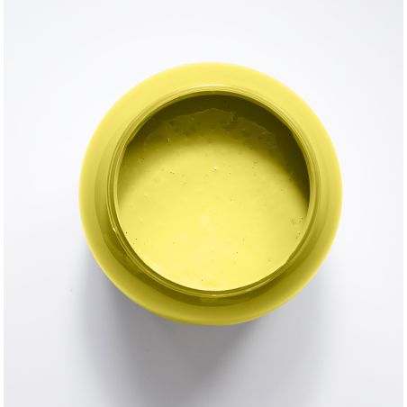 Amaranthe Peinture Color'Instant