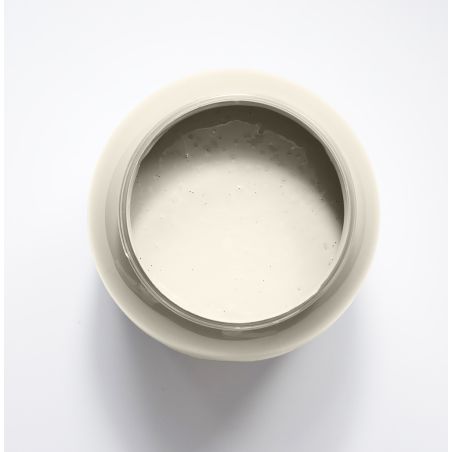 Amazone Peinture Color'Instant