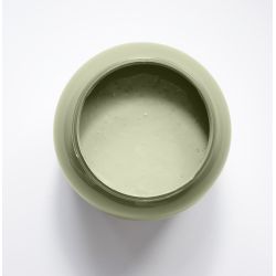 Armoise Peinture Color'Instant