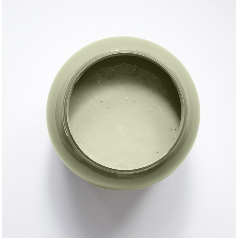 Armoise Peinture Color'Instant