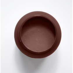 Azobe Peinture Color'Instant