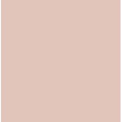 Bouton de rose Peinture Color'Instant
