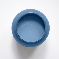 Bleuet Peinture Color'Instant