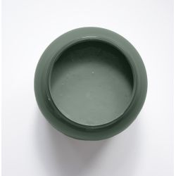 Euphorbe Peinture Color'Instant