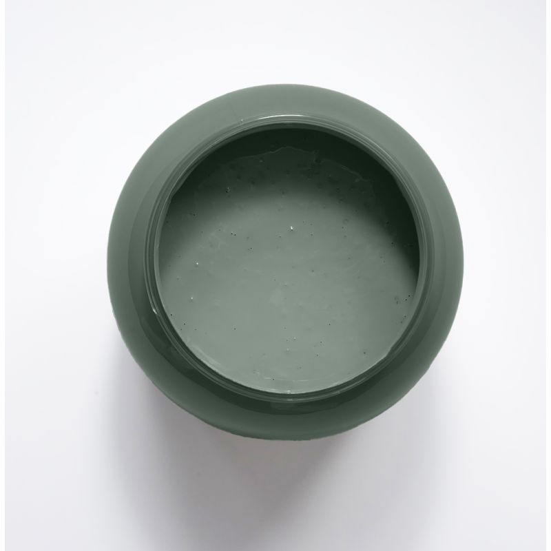 Euphorbe Peinture Color'Instant