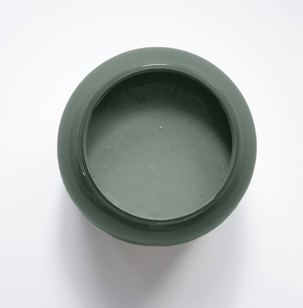 Euphorbe Peinture Color'Instant