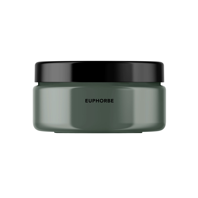 Euphorbe Peinture Color'Instant