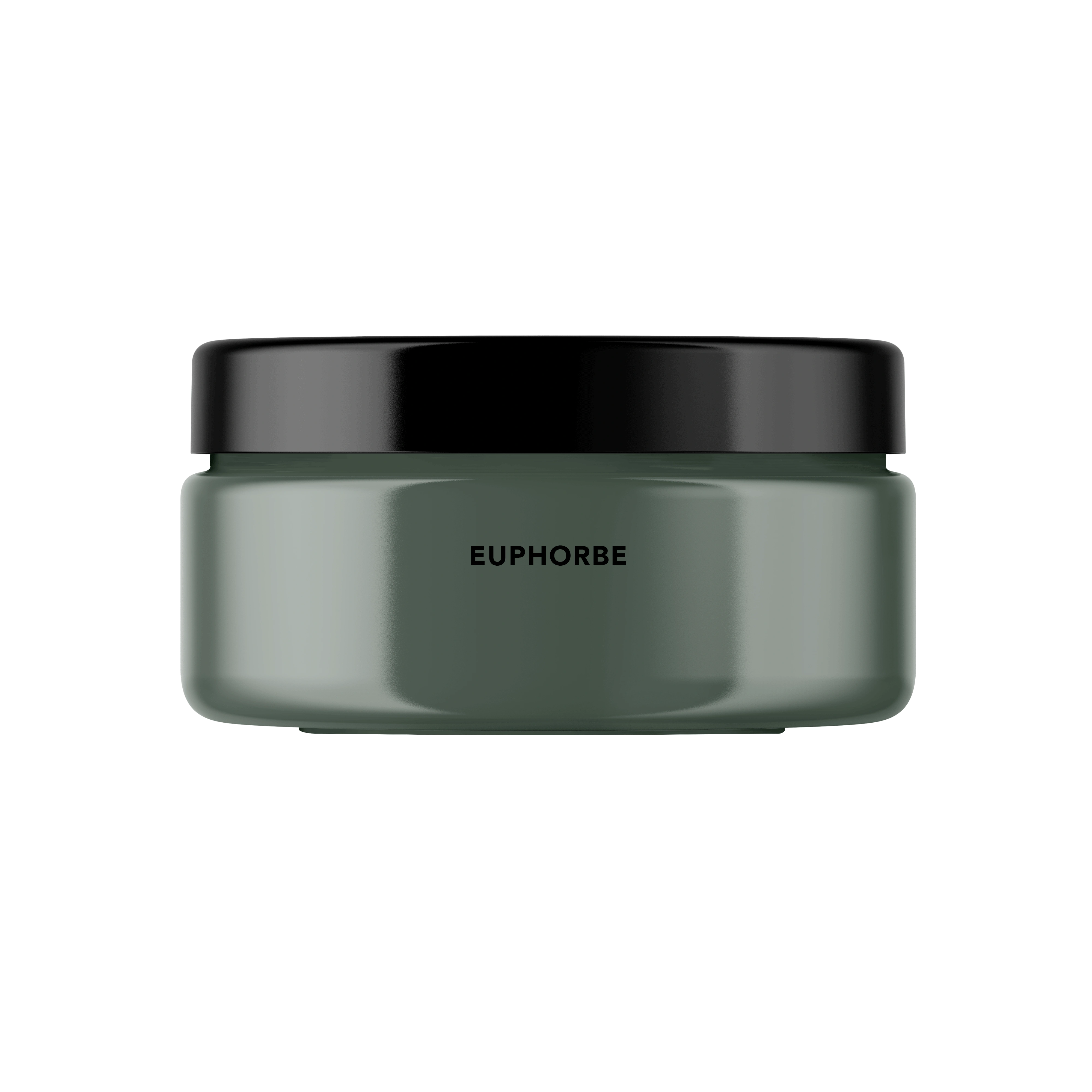 Euphorbe Peinture Color'Instant