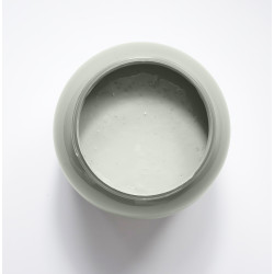 Eucalyptus Peinture Color'Instant