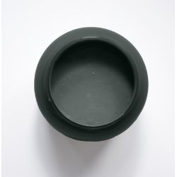 Dypsis Peinture Color'Instant