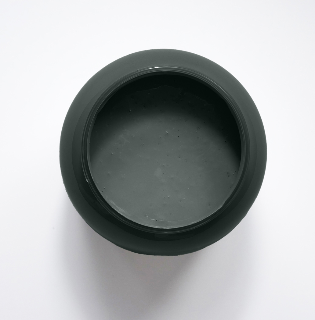 Dypsis Peinture Color'Instant