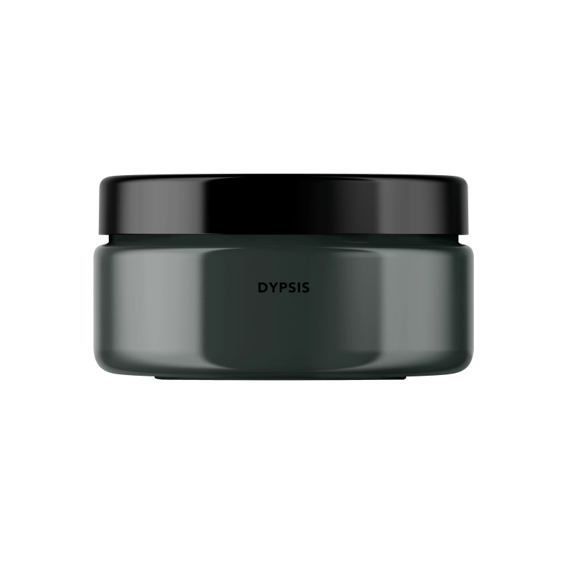 Dypsis Peinture Color'Instant