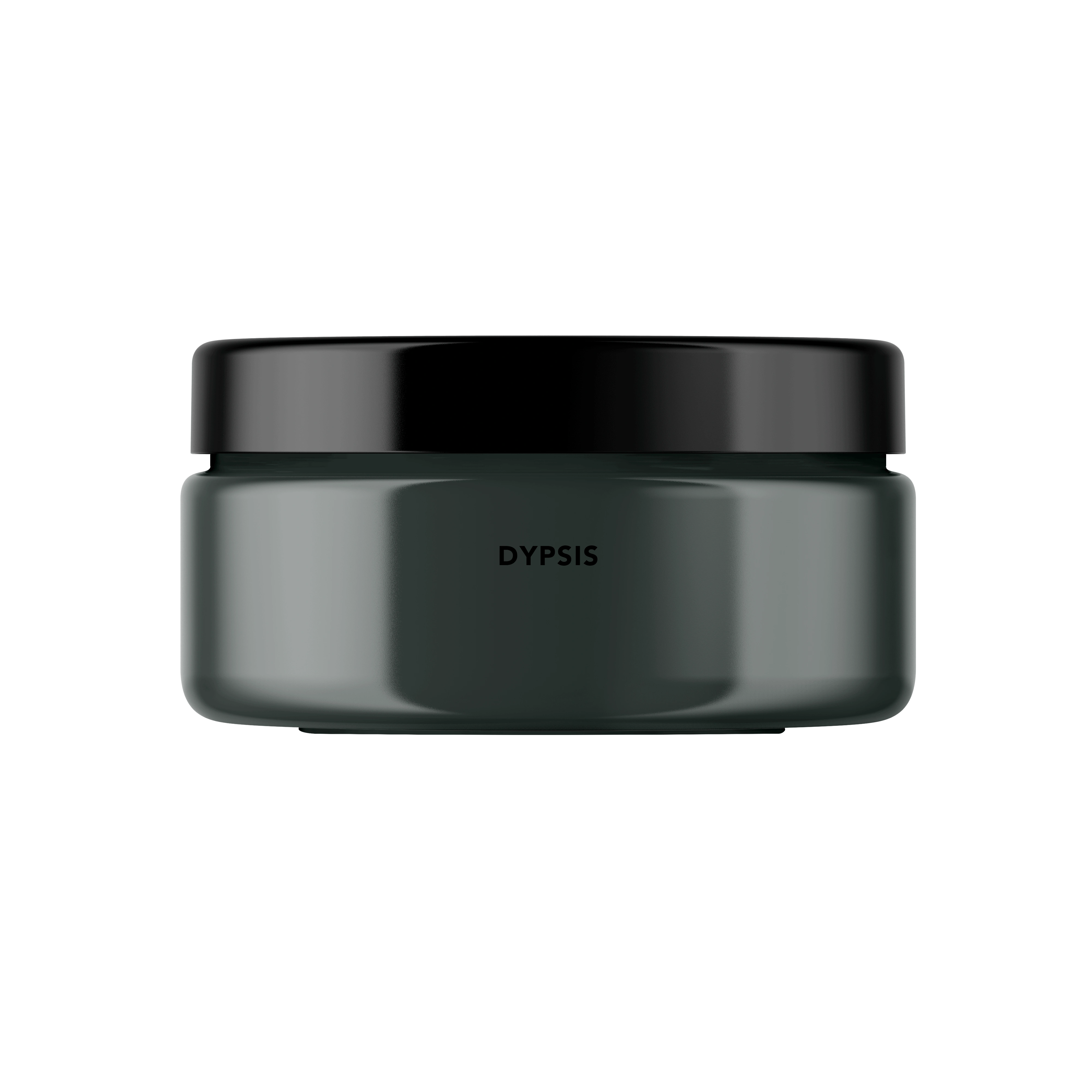 Dypsis Peinture Color'Instant