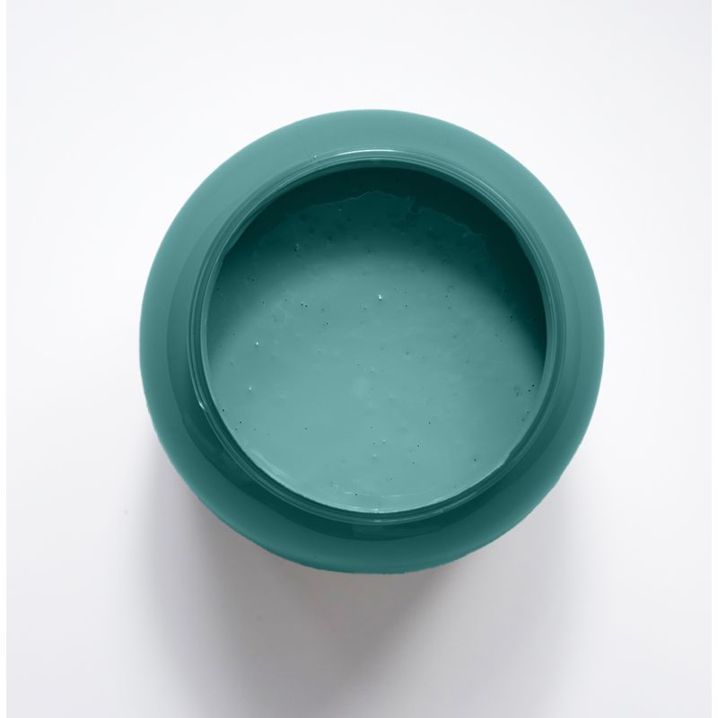 Clematite Peinture Color'Instant