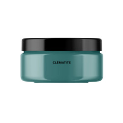 Clematite Peinture Color'Instant