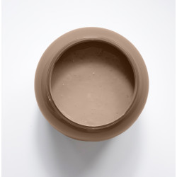 Cacao Peinture Color'Instant