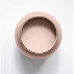 Bouton de rose Peinture Color'Instant